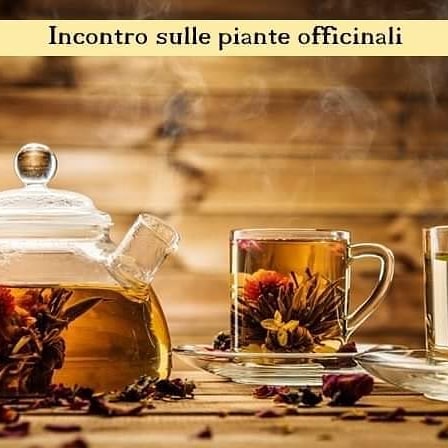 Post Instagram di mercoledì 2 alle 08:39 (#2419111929781033501)