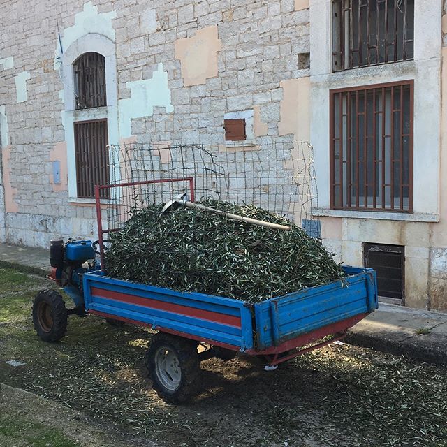 Post Instagram di domenica 25 alle 07:29 (#2443568637592861249)