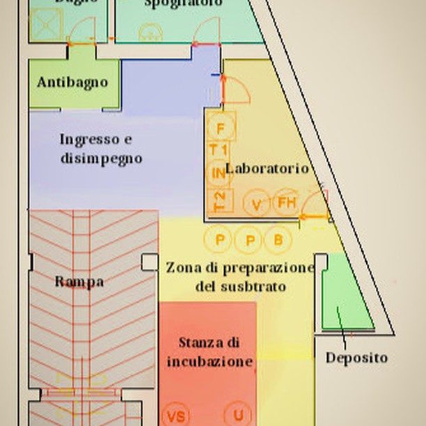 Post Instagram di domenica 21 alle 17:44 (#2806281210387664006_49727626545)